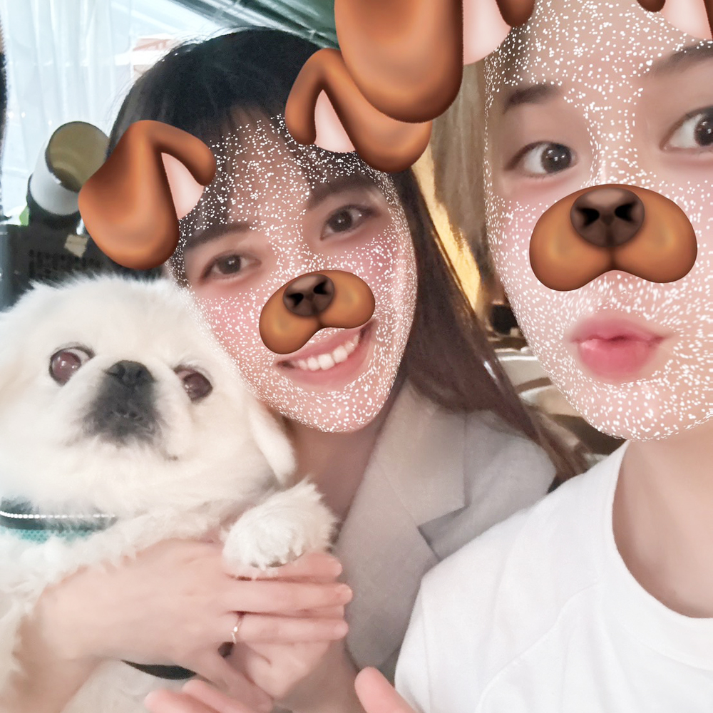 卒業犬の白玉ちゃんと大福くん♪